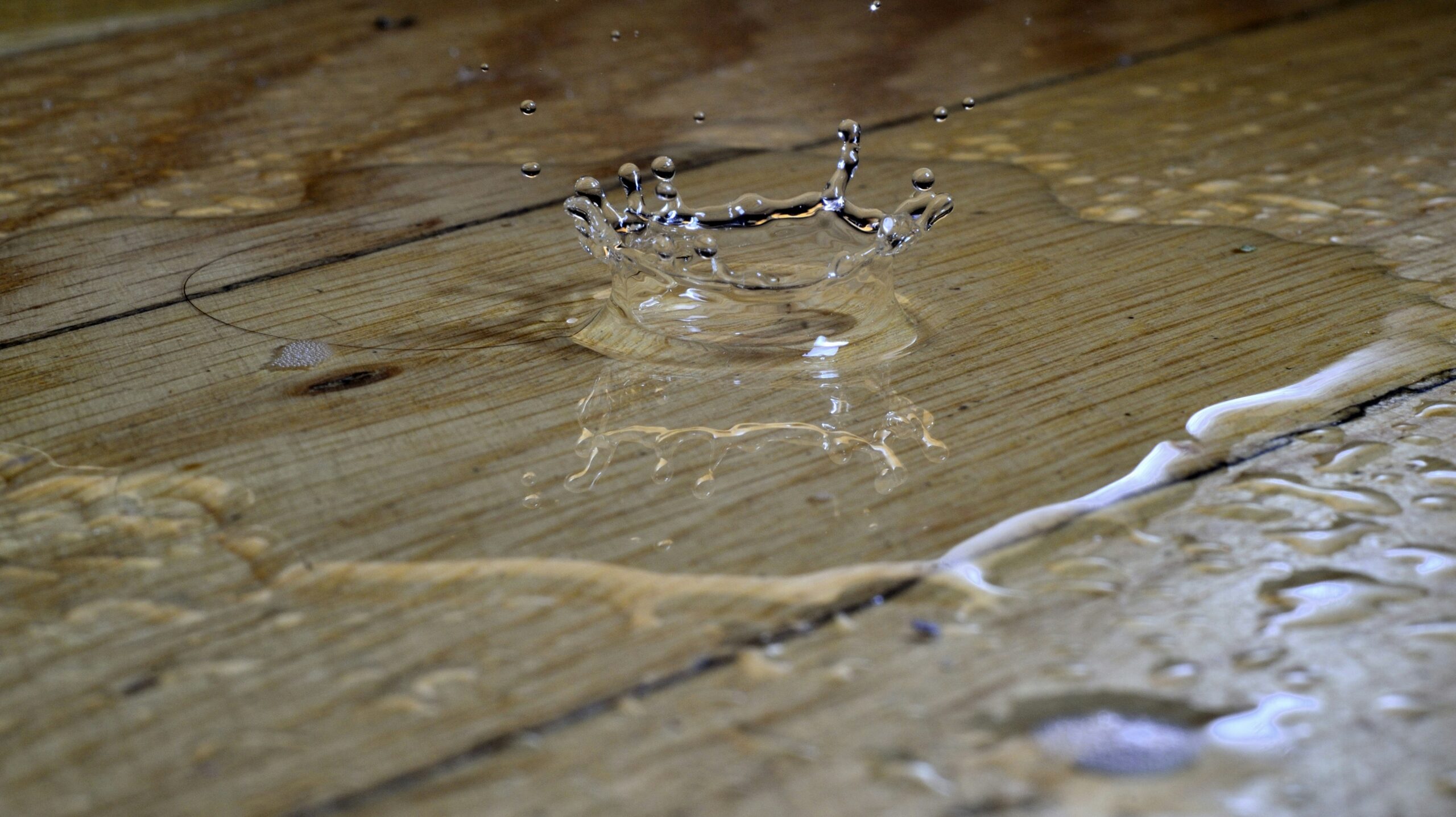 Water damage restoration equipment in San Diego property